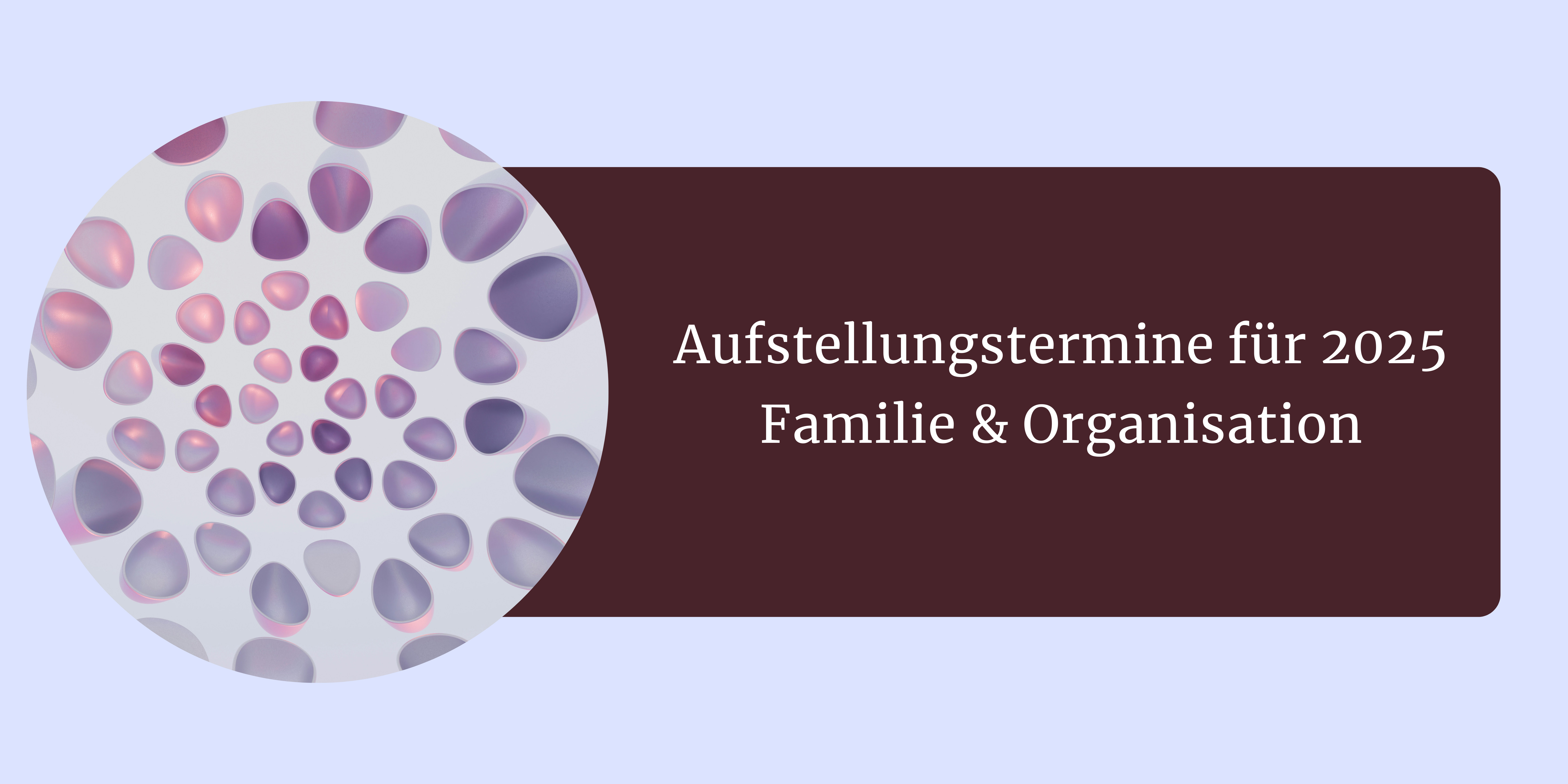 Foto mit lila Steinen, Ankündigung Aufstellungstermine 2025