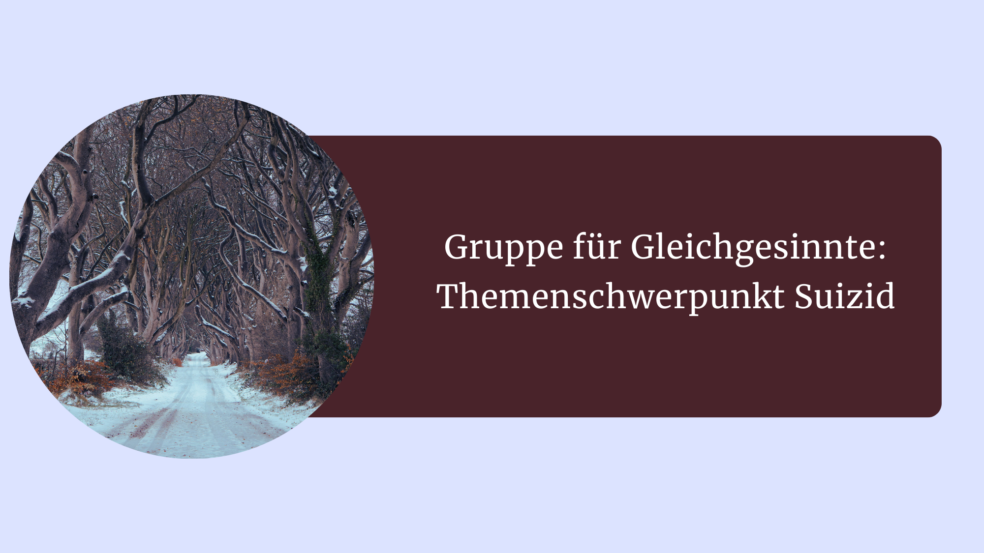 Hellblaues Feld mit einem Foto einer Allee von Bäumen im Schnee, es ist düster und dazu ein Ankündiungstext: Gruppe für Gleichgesinnte - Themenschwerpunkt Suizid