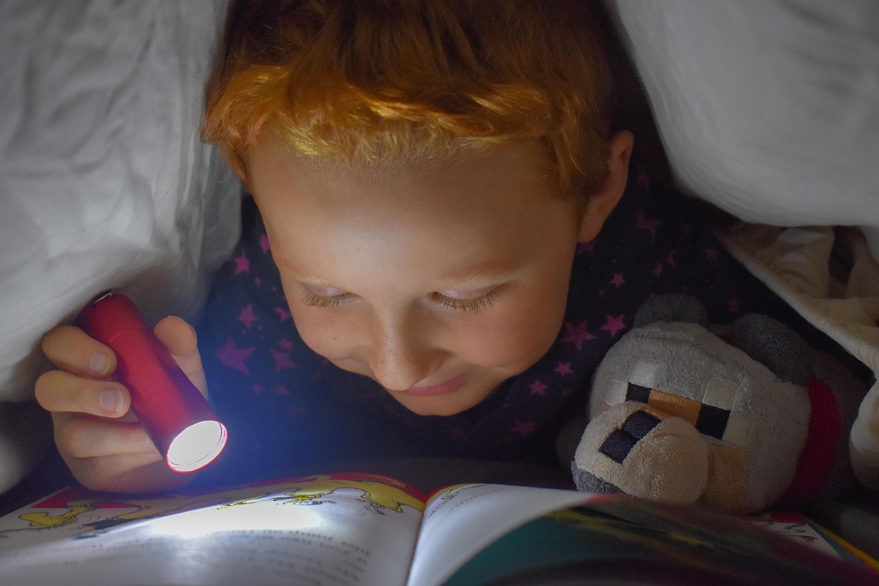 Rothaariger Bub unter Decke mit Taschenlampe und Kuscheltier und liest ein Buch. Er grinst.